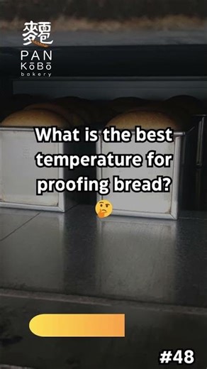 What is the Best Temperature for Proofing Bread?