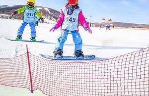 [Hot Item] High Premium Quality Tenacity Nylon Protect Net for Snow Field Ski Resort Slope Safety Net