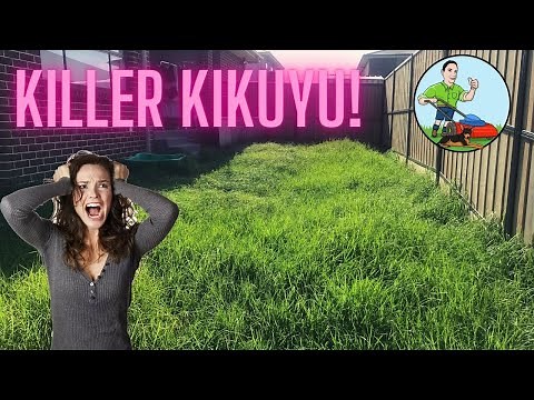 Overgrown Kikuyu Grass Gets Slashed. Long grass cutting and Mowing.