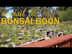 Visit to Boon's Bonsai Nursery