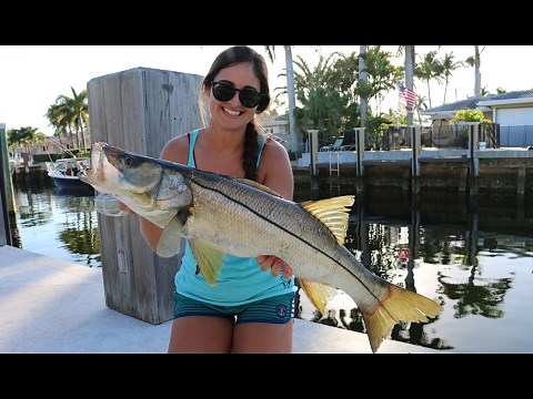 Snook right in the Backyard!! (Catch and Cook Snook with Brook!)