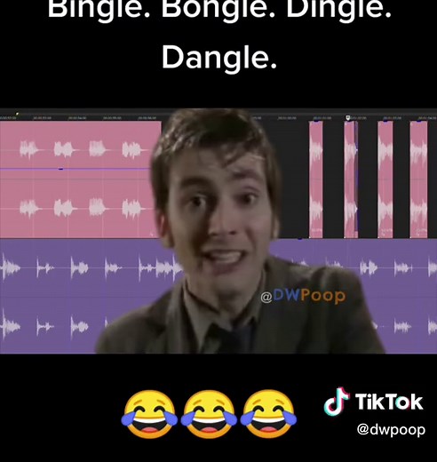 Bingle Bongle Dingle Dangle Meme Edit