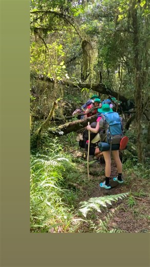 On journey camps, we put the groups through their paces, sleep in caves and tents on our journey through the Drakensberg. #hiking #drakensberg #adventure #kzn #hireaguide #guide #camplife #bergadventures | Berg Adventures
