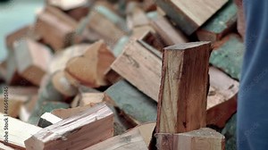 Lumberjack chops tree in deep forest with sharp ax, Detail of axe, wood chips flying around in slow motion