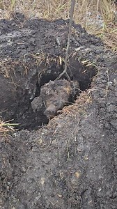 702K views · 4.9K reactions | WW2 Part from Panther Tank . Swing Arm with Tension System Edmis Bladzinauskis \ Regimantas Saltis \ Eastern front relics #metaldetecting #digging #ww2 | Eastern front relics | Facebook