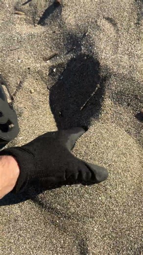 Gold Prospector Finds a Vintage Compass & Strange Treasures! #beachcleanup