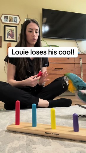 Louie Loses His Cool! Bird Puzzle Chaos