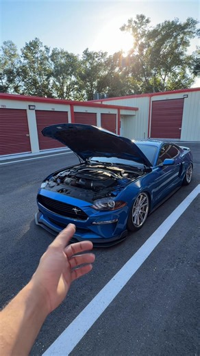 The first mod you should do on your car, hood struts! Hope you enjoy them ! | cloutstang