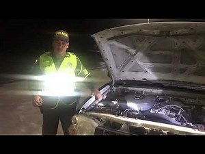 Número de identificación vehicular (VIN)