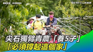 9.2K views · 203 reactions |...