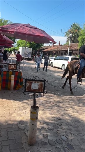 El canal del barbon on Instagram: "Aventura en El Quelite: un recuerdo que nos enseñó una gran lección sobre la seguridad. ¡Siempre es importante tomar precauciones con los más pequeños! #elcanaldelbarbon #fypシ #padreehijo #Culiacan #precaucion"