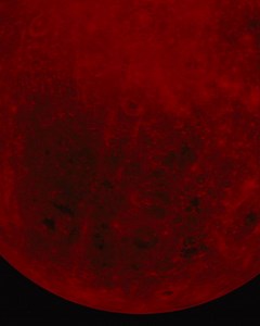 1.5M views · 1.7K reactions | The Sold-out show, like you’ve never seen it. The Weeknd: Live at SoFi Stadium premieres Saturday at 8 PM on HBO Max | HBO | Facebook