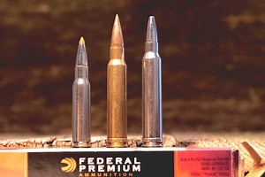 Best Cartridges for Africa Plains Game