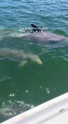 Exploring USA Like Never Before ✈️ Top Destinations