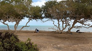 11 reactions · 4 comments | تخيل ده مكان من مزارات رحلة درب البحر الاحمر ٧ ايام من اول حلايب الى راس غارب. ( تخييم ادلديب و ساحل شاب و القلعان مع زيارة اشهر المزارات وأجملهم وبعض الاماكن هى رحلات خاصة جدا من تنفيذنا ) سارع بالحجز #jamper #safari #camp #عافر #اتشقلب | I camp | Facebook