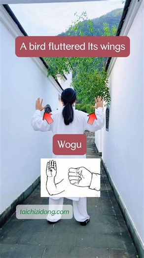 Taichi Zidong | https://taichizidong.com Specific exercise improve symptoms, daily full-body exercises remove root causes. 251020-A bird fluttered its... | Instagram