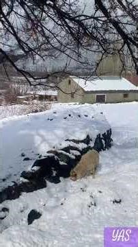 -15°C but the sun still showed up ☀️❄️