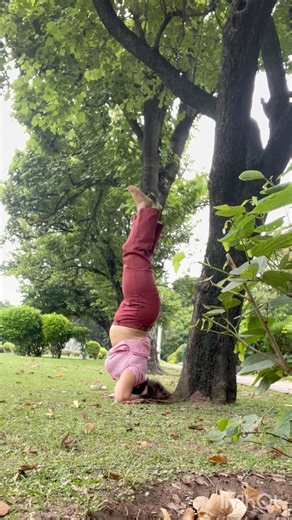 ✨ Balance. Strength. Focus. 🧘‍♀️Finding calm upside down, one breath at a time. 🌿