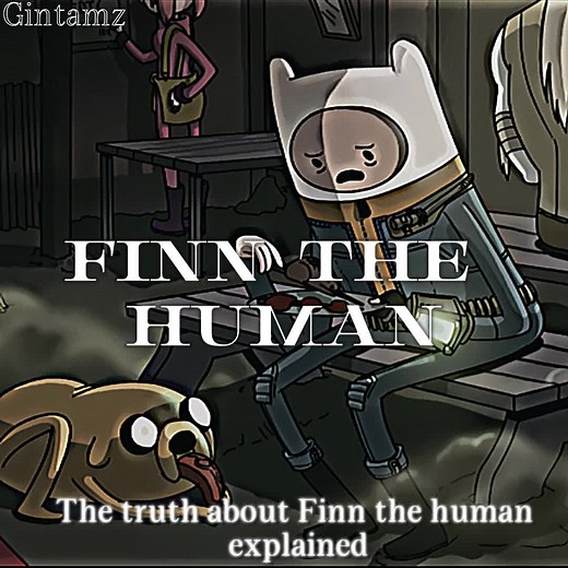 Finn THe Human Explained - Adventuretime #adventuretime #finnthehuman #lore #explained #gin_tamz #cartoon #cartoonnetwork