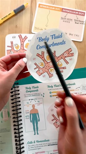 29K views · 411 reactions | Body Fluids Components  #nursingschool #nurseinthemaking #studentnurse #BSN #Nursinglife #Nursegraduate #scrublife | Nurse making | Facebook