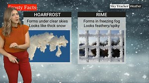 9.4K views · 173 reactions | Freezing fog over the past week has covered the trees in what's commonly mistaken as hoarfrost... but it's actually a different kind of frost! | Tiffany Lizée | Facebook