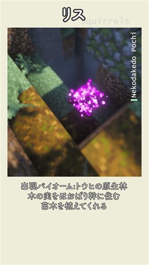 リスの生態 | Minecraft自然図鑑 #18