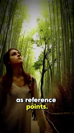 6 Navigate Without GPS Essential Skills