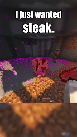 i just wanted steak...