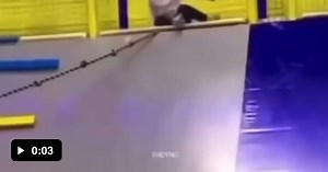 Final destination... - Video