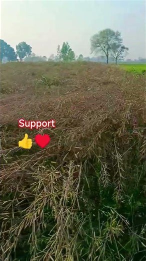 👍♥️#travel #trading #yutube #video