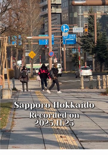 Exploring Hokkaido: A Sapporo Snow Adventure