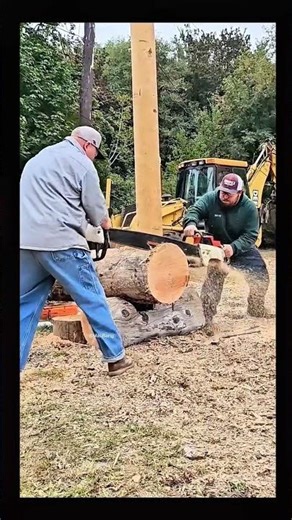 chainsaw modification for cutting large wood