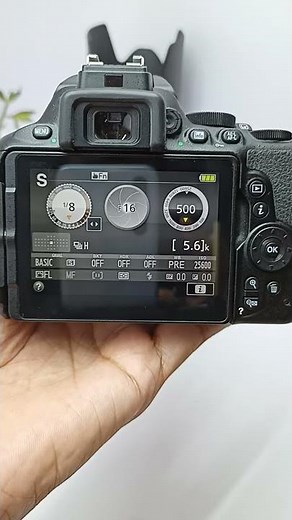 Nikon D5600 burst mode speed