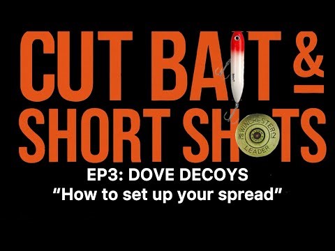 DOVE DECOYS: How to set up your decoy spread. #dovehunting #hunting #decoys @mojooutdoors