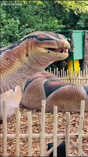 IT'S A SNAKE 🐍 #shorts #snake 🎥@jinjamodernss