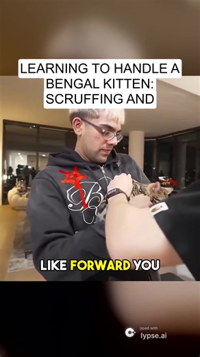 Learning to Handle a Bengal Kitten: Scruffing and Sharp Claws #viral #fyp #foryou #clips #n3on