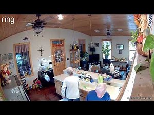 A Cockatoo With His Grandma & Pappy