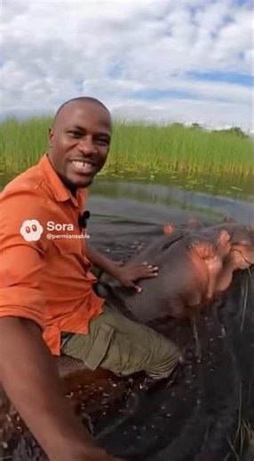 Man Riding a Hippopotamus Across the River?! 🦛😱