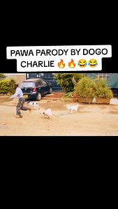 544K views · 15K reactions | #pawaparody #dogocharlie | Dogo Charlie Official | Facebook