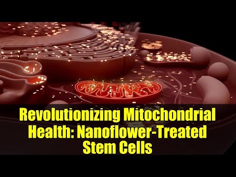 Revolutionizing Mitochondrial Health: Nanoflower-Treated Stem Cells