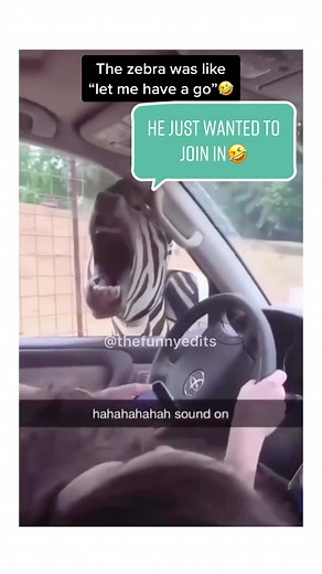 Zebra's Unexpected Vocal Talents Revealed