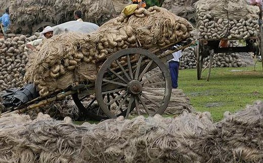 Watch | India's 150-year-old jute industry
