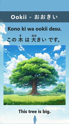 Adjectives in Japanese: Mastering 'Big' - 大きい
