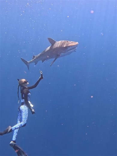 Ocean Ramsey on Reels
