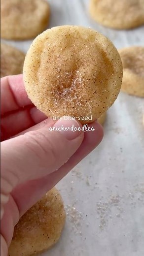 ✨mini✨ snickerdoodles