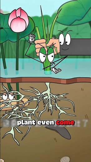 Roots, rescue, and growth! 🌱🛡️🌞 #animation #plants
