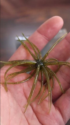 Hags Prickly Pear Underwater #fishinglures #fishing #fishingequipment