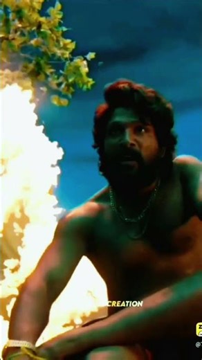 pushpa status video #status #viralvideo #bollywood #love