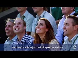 Taronga Zoo QBE Free Flight Bird Show - 20th anniversary