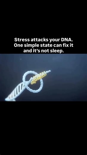What stress does to your DNA (you wont like it) #science #doctor